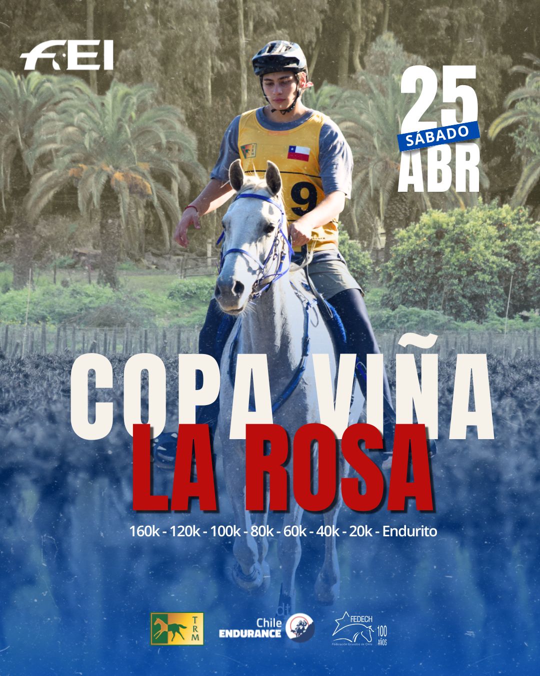 COPA VIÑA LA ROSA