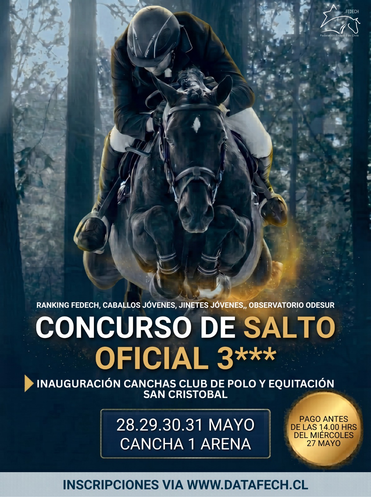 CONCURSO DE SALTO OFICIAL 3*** CLUB DE POLO Y EQUITACIÓN