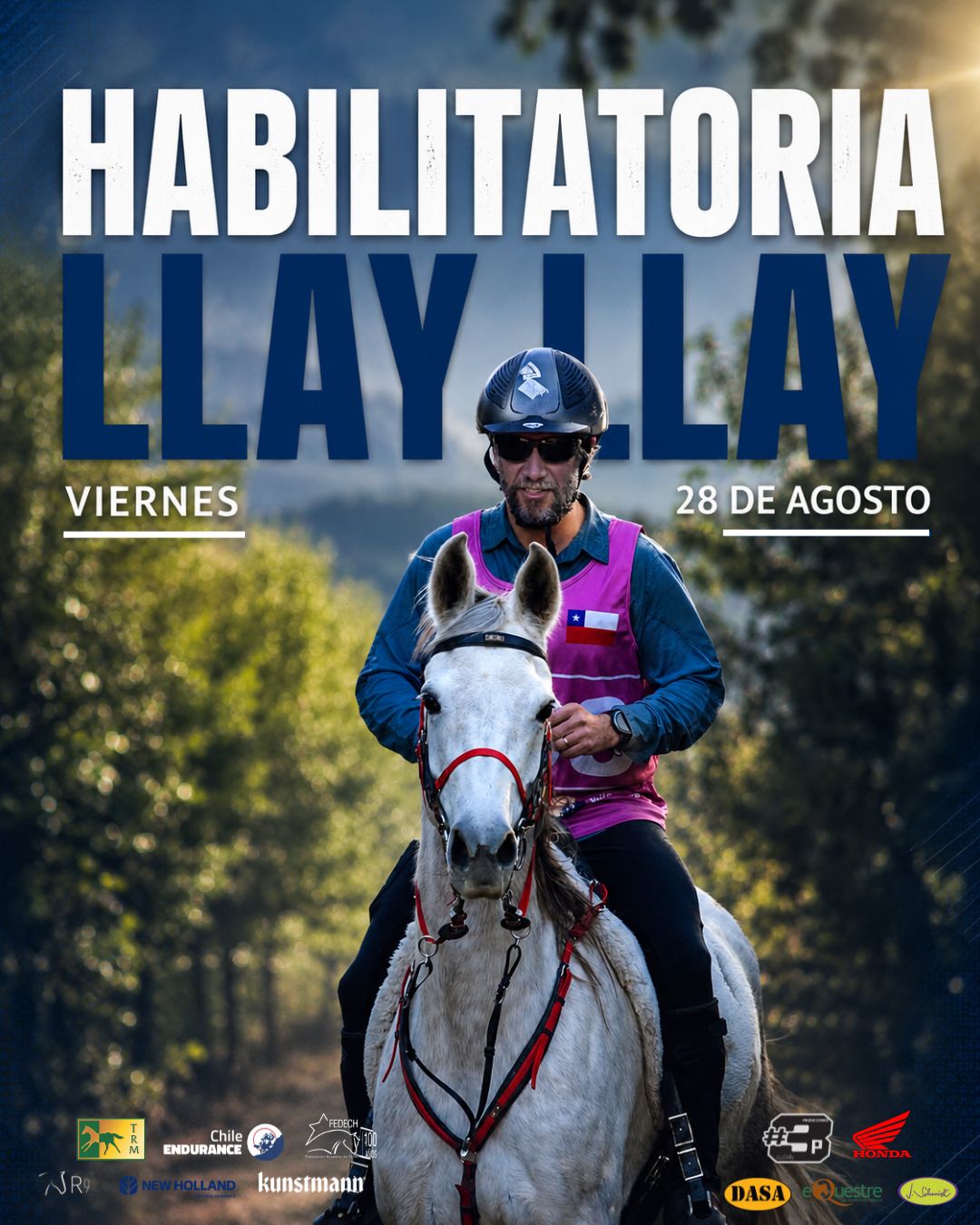 HABILITATORIA LLAY LLAY