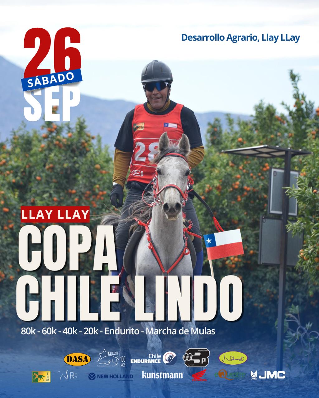 COPA CHILE LINDO
